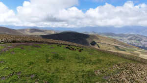 dji 20240802130149 d