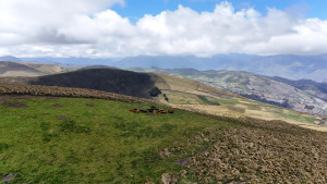 dji 20240802130158 d