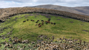 dji 20240802130418 d