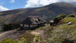 dji 20240802144443 d