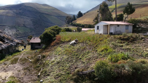 dji 20240802144450 d