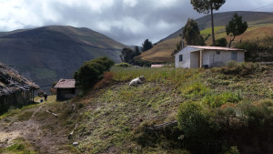 dji 20240802144512 d