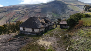 dji 20240802144529 d