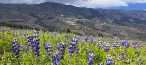 imagen de whatsapp 2024 08 05 a las 09.27.47e0