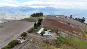 dji 20240802150637 d